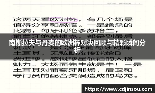 南斯拉夫与丹麦的欧洲杯对决回顾与精彩瞬间分析
